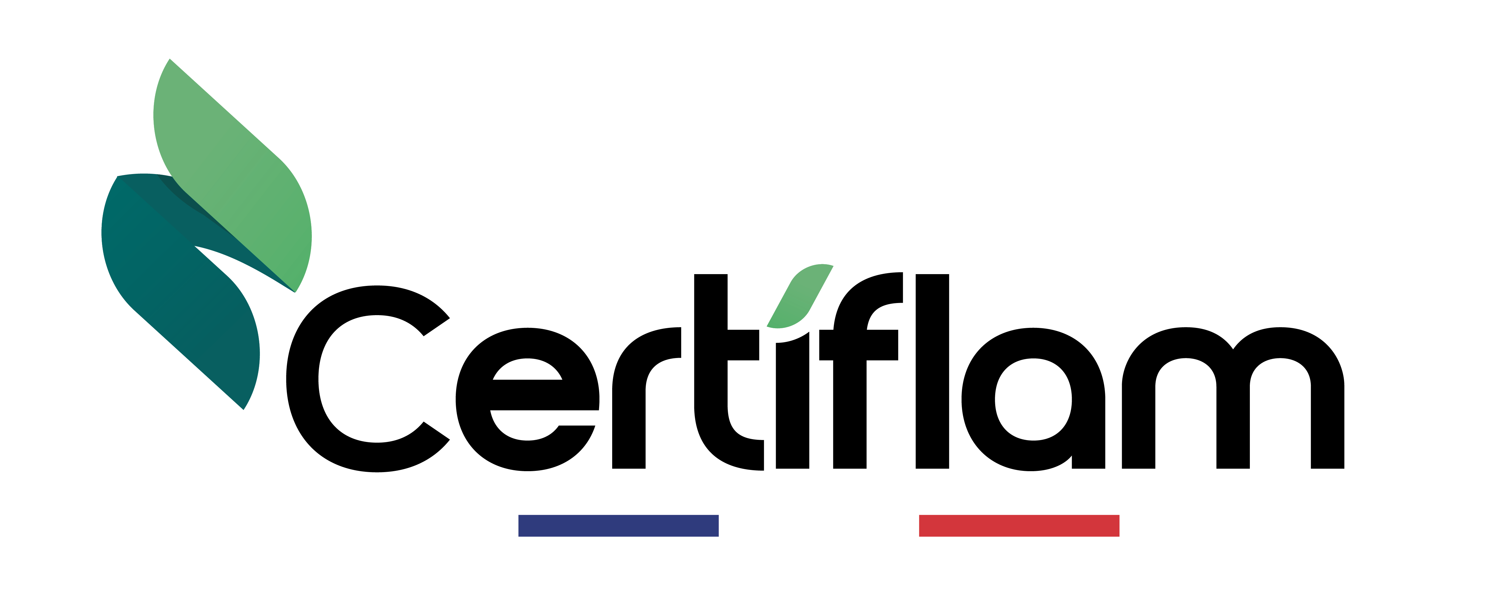 certiflam - entretien poele a granulés bois rhones alpes-2