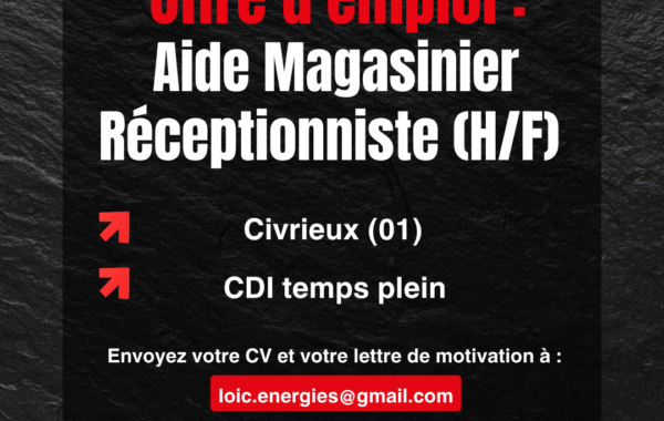 offre d'emploi invicta magasiner
