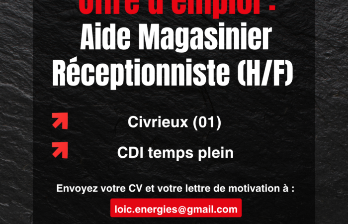 offre d'emploi invicta magasiner